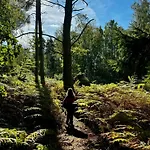 Architect-designed In Ulvshale Forest *