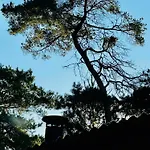 Architect-designed In Ulvshale Forest スタイ