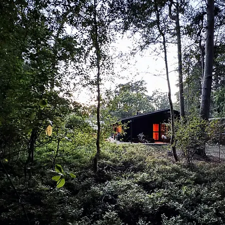 Architect-designed In Ulvshale Forest * Tyrholm