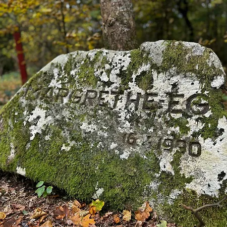 Architect-designed In Ulvshale Forest *