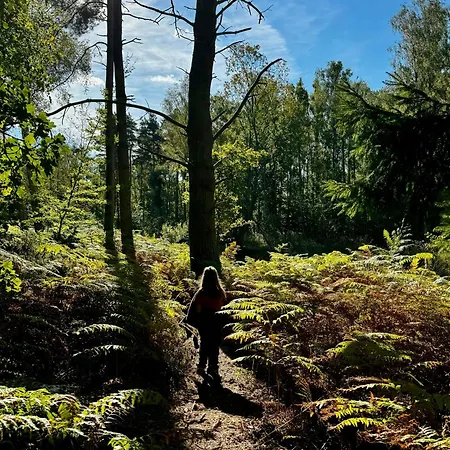 Architect-designed In Ulvshale Forest Tyrholm