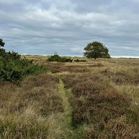 Architect-designed In Ulvshale Forest بيت للعطل