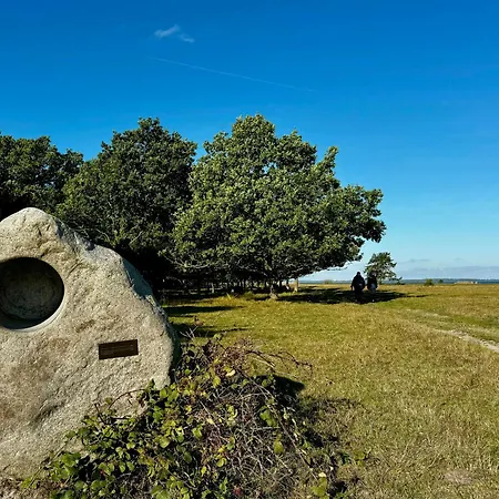 Architect-designed In Ulvshale Forest