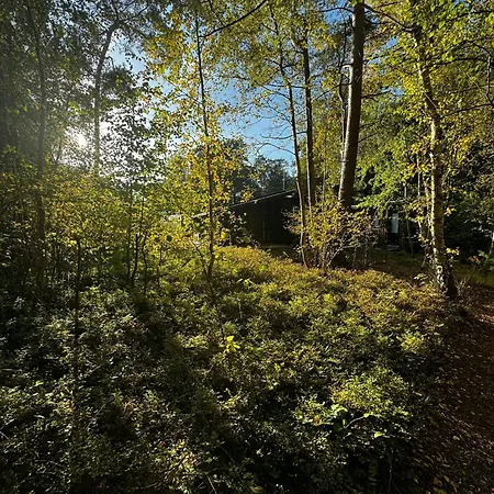 Architect-designed In Ulvshale Forest Stege