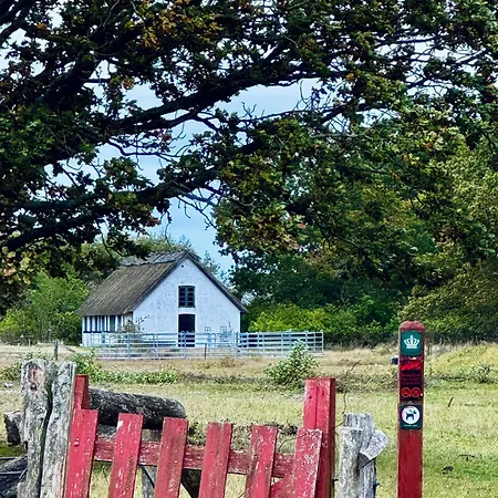 Architect-designed In Ulvshale Forest Stege