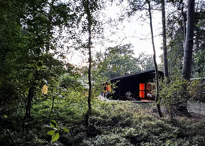 Nyaraló Architect-designed In Ulvshale Forest