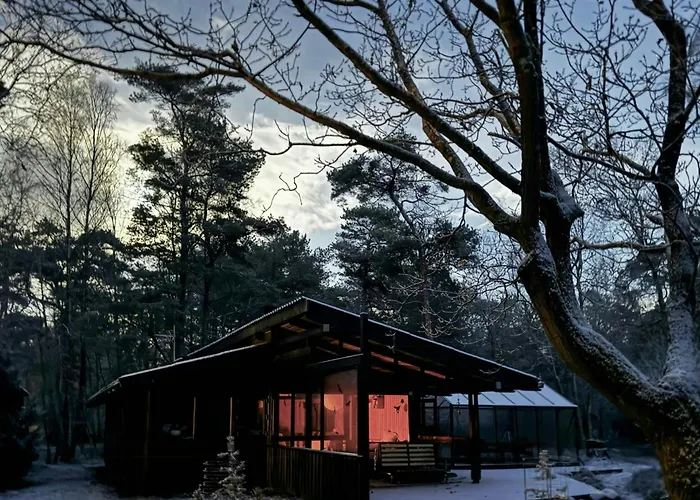 Architect-designed In Ulvshale Forest بيت للعطل *