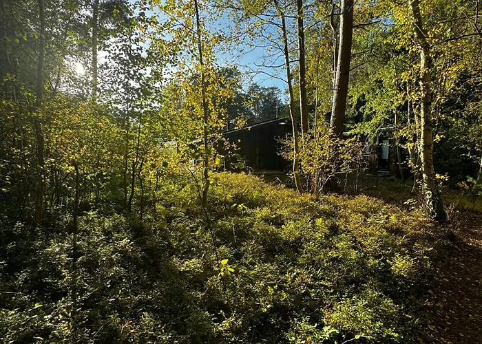 Architect-designed In Ulvshale Forest Stege